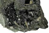 Black Andradite (Melanite) Garnet Cluster - Morocco #107906-1